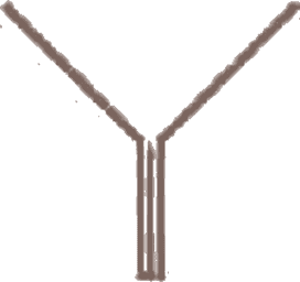 AF 63, Neckline run